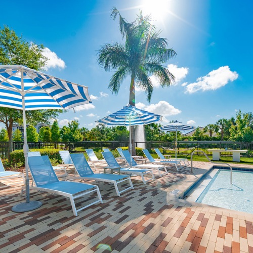 lounge chairs and umbrellas next to pool with tanning shelf